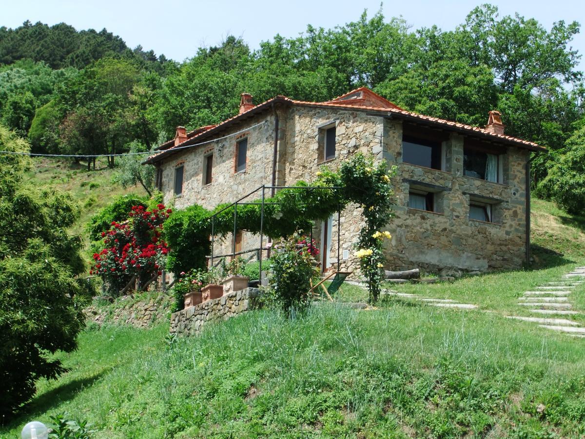 Fattoria Di Pietrabuona Lejlighed Pescia Eksteriør billede