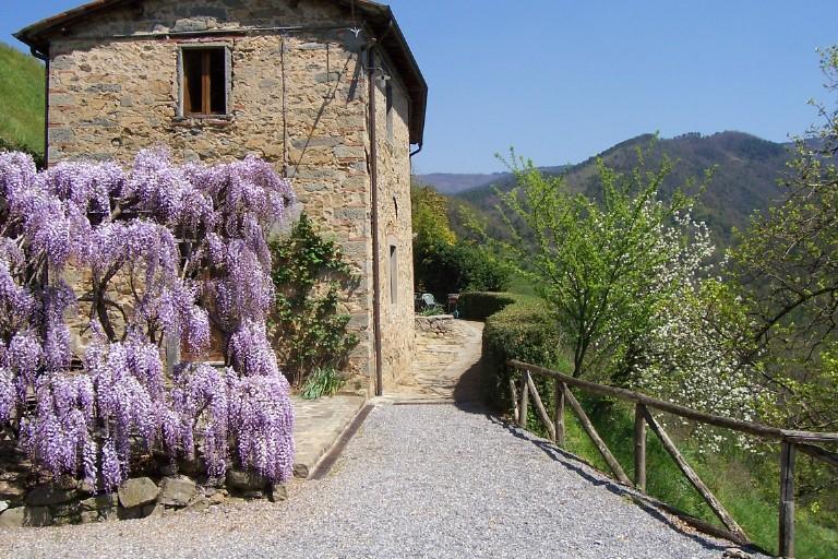 Fattoria Di Pietrabuona Lejlighed Pescia Eksteriør billede