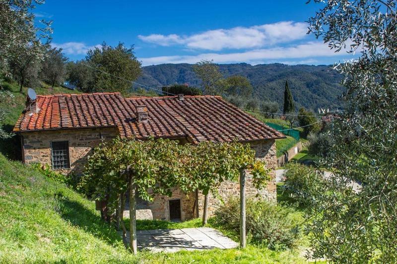 Fattoria Di Pietrabuona Lejlighed Pescia Eksteriør billede